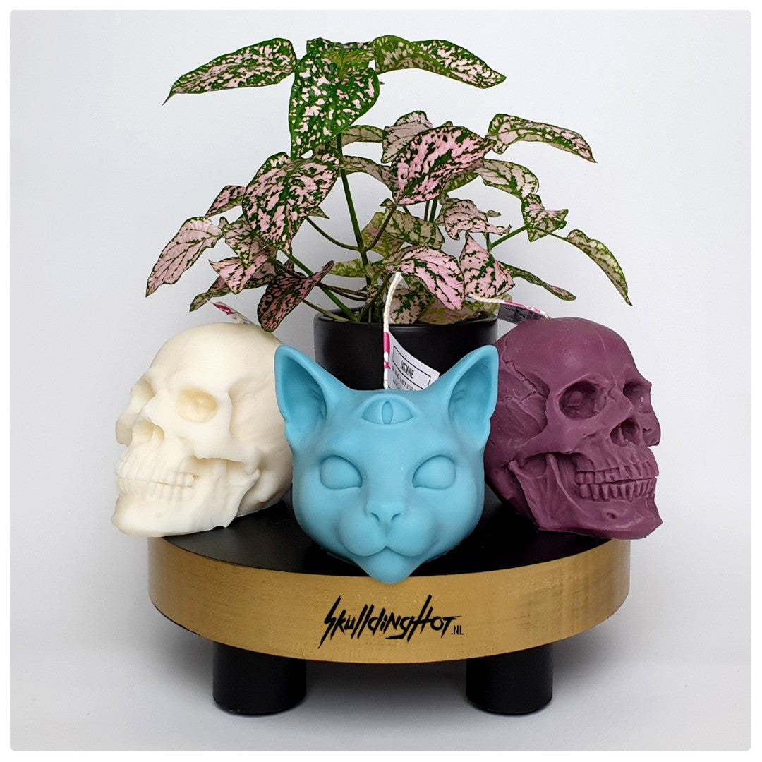 Skull candle white