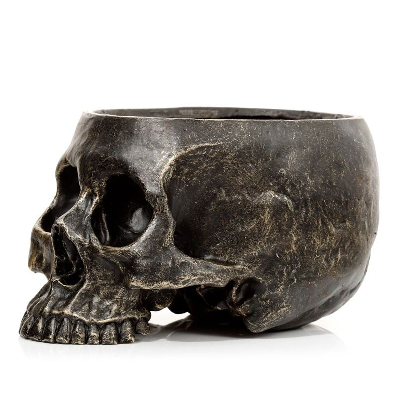 Skull flowerpot