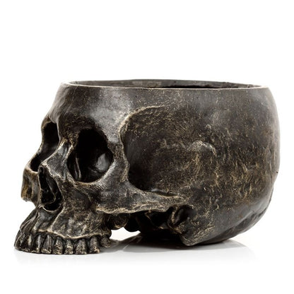 Skull flowerpot