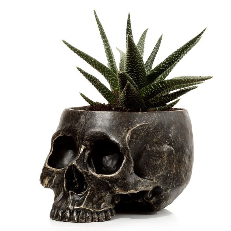 Skull flowerpot