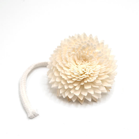 Diffuser flower Carnation