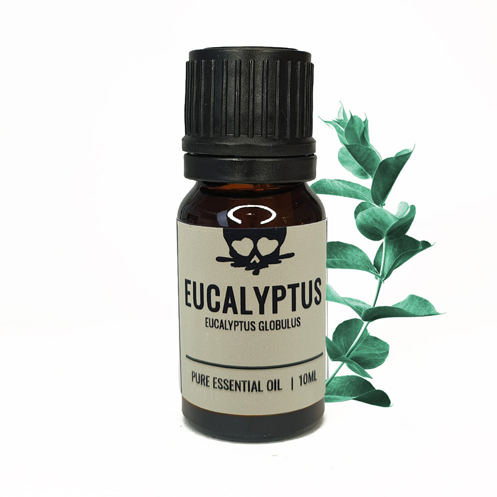 Eucalyptus - Essential Oil