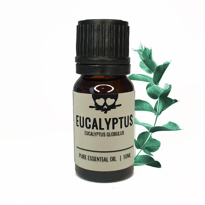 Eucalyptus - Essential Oil