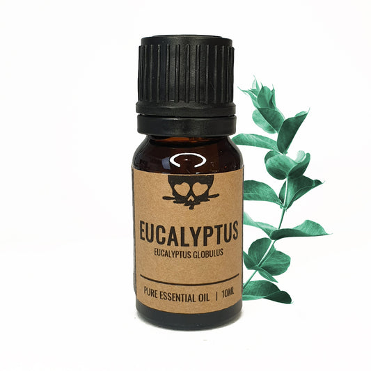 Eucalyptus - Essential Oil