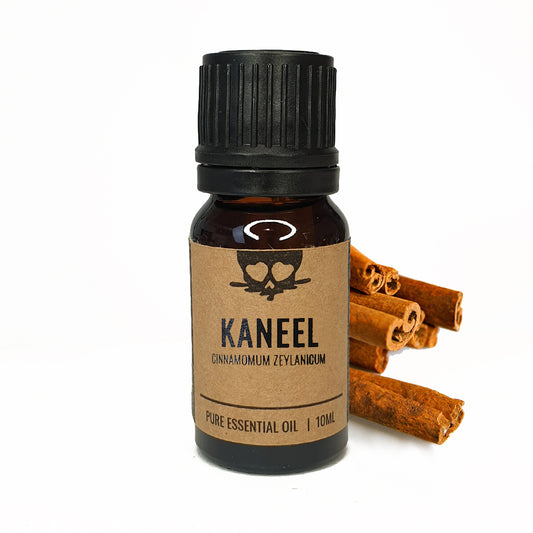 Cinnamon - Essential Oil