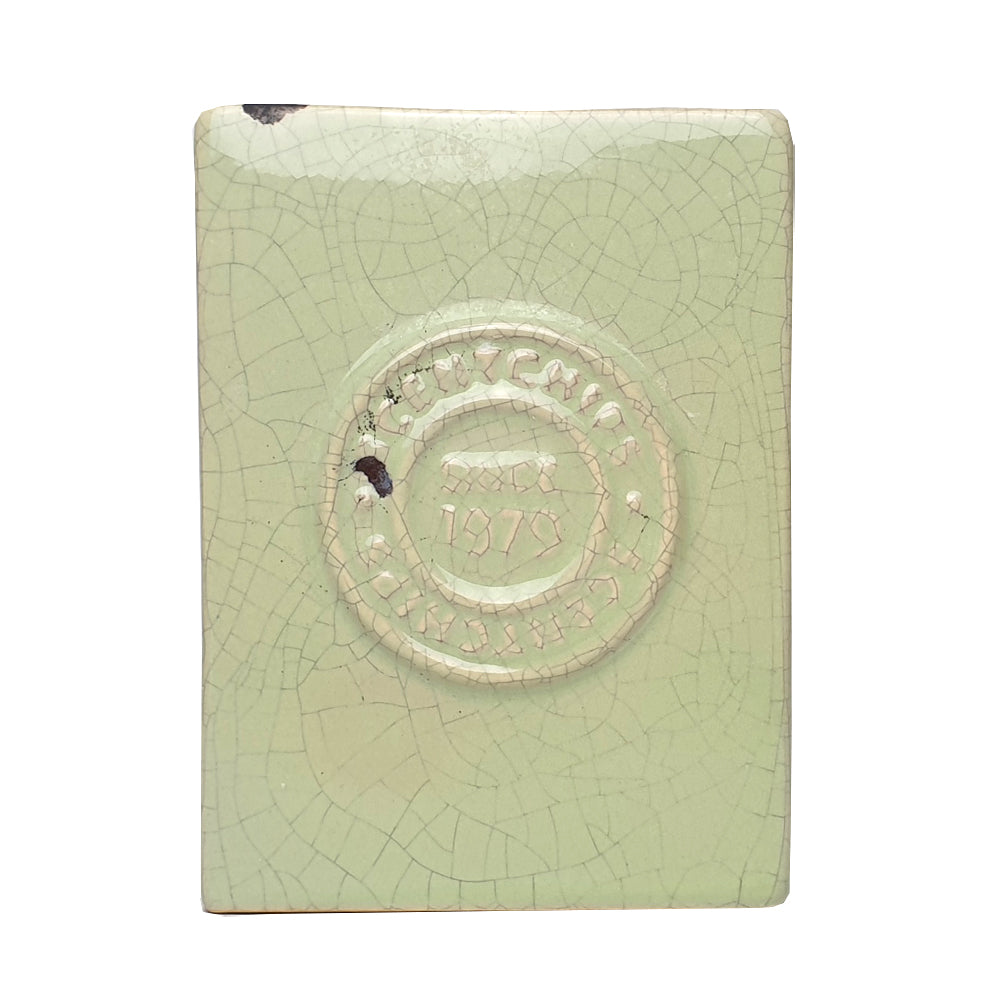 Scentchips scent burner green